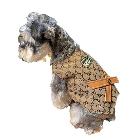 gucci dog apparel|glamour mutt dog boutique.